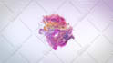 create colorful splash logo animation within 24 hours
