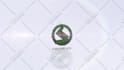 create stunning logo design and animation for your brand