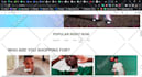 create a wireframe and prototype for mobile or website uiux wireframes