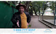 provide HD professional video editing