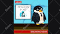 make custom 2d cartoon animation video