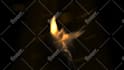 make Phoenix to BURNOUT and reveal your logo in full hd