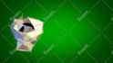 construct an eye catching intro or outro video