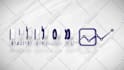 do 100 percent  custom logo animation with copy rights