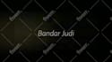 manually submit video to 4 sites youtube etc plus 2000 backlinks