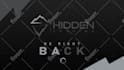 design twitch overlay, kick, animated stream overlay