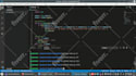write your python programming scripts