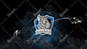 create 3d logo animation or intro animation