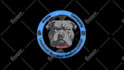 make 3d rotating coin logo animation spin loop, gold coin