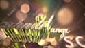 create custom 3d logo animation