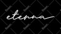 customize signature logo animation