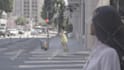 clean up your video, removing objects,wires graffiti,ads etc