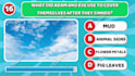 create you a quiz video