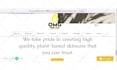 build squarespace website design and development