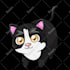 make custom animated twitch emotes, kick, animated gif emotes