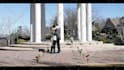 edit your wedding tiktok videos and instagram reels