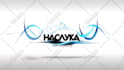 create 20 amazing animated logo intro video 24hrs