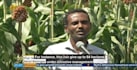 add subtitles to videos in amharic, english, srt captions