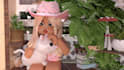 create a high quality roblox gfx animation for you
