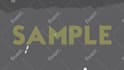 design custom logo animations to elevate your brand identity