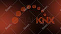 create custom motion graphics logo animation