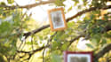 create a magical photo slideshow for your loved ones