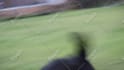 edit youtube shorts or tiktoks