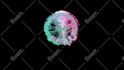 create beauty colorful liquid particles logo animation