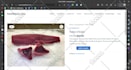 design and develop a wordpress website