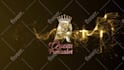 do luxury gold logo animation intro 24h delivery 4k