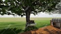design garden and park using realtime landscape architect