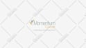 create appealing logo animation