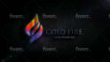 edit your video quickly and professionally at a good rate