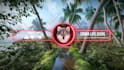 make perfect youtube subscribe button animations