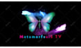 create custom butterfly animations tailored for your brand