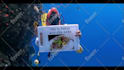 write an arabic diver custom message