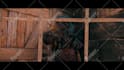 create professional rust cinematics