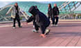 create group dance video on your music
