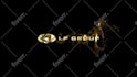 do custom luxury logo animation intro