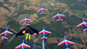 promote your logo and website in flying jet skydive video