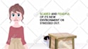 make custom 2d cartoon animation video