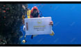 write an arabic diver custom message