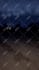 censor or blur out anything in your video