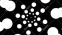 do animated logo in 2d and 3d version