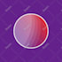 do animation and motion graphics