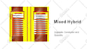 create professional 2d animation and motion graphics