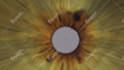produce eye opening animation for youtube video intro