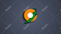create a custom stunning logo animation intro