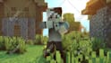 do a professional minecraft animation