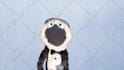 have paulie the penguin crooner create a custom puppet video